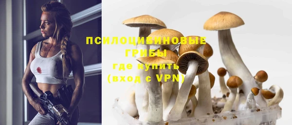 гашиш Богородицк